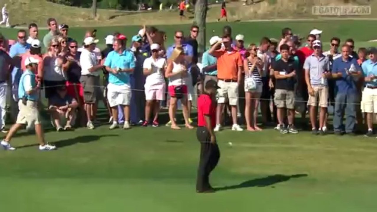 Скачать видео: Tiger Woods drops to his knees in pain during final round of The Barclays.