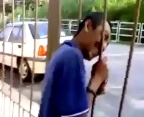 Terlajak Lucu Kepala tersangkut Di Celah Pagar,Tak Masuk Akal Betul!!!