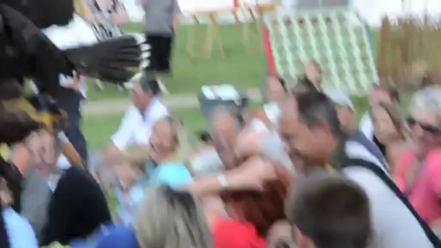 Pont-de-Vaux. Fête médiévale. disque 2