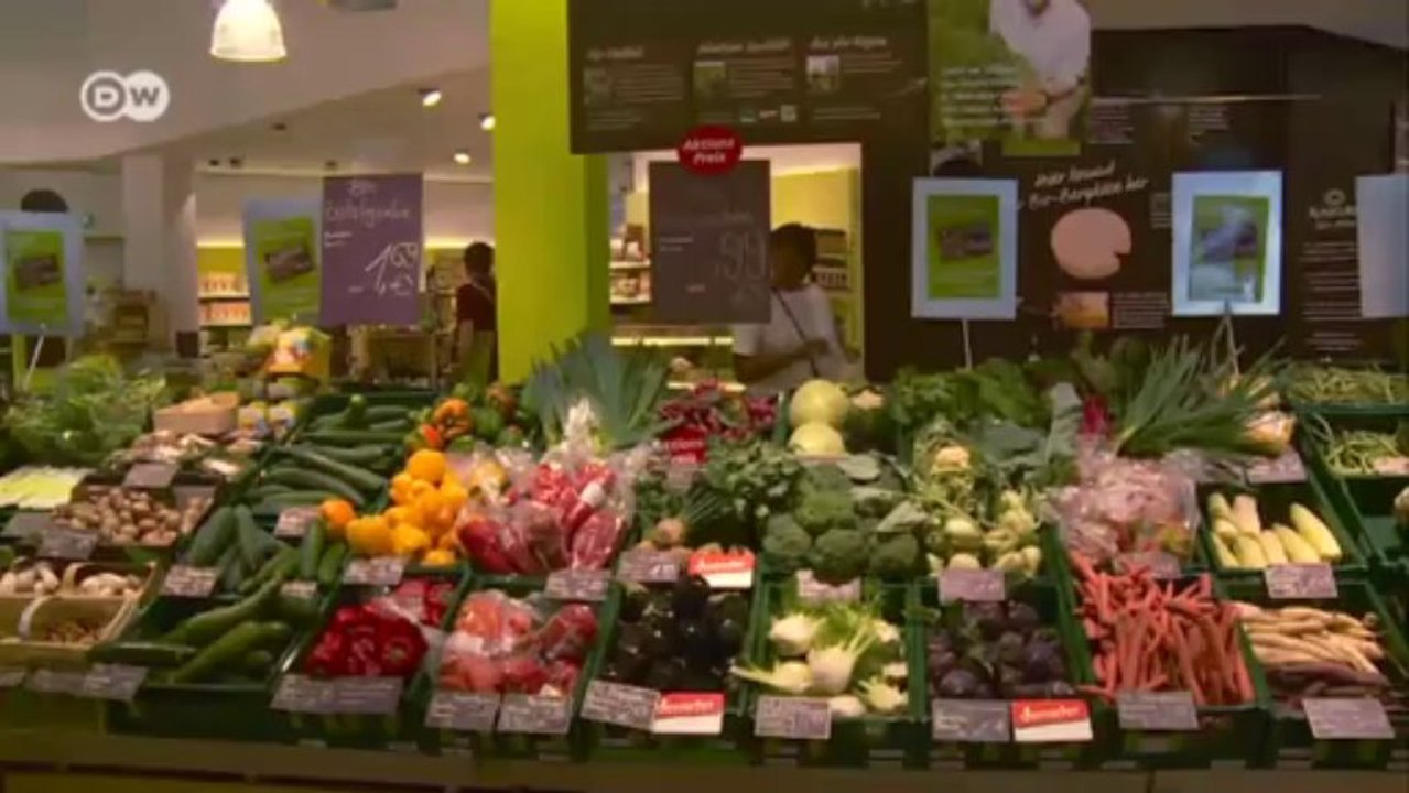 Mülltauchen, Foodsharing - gegen den globalen Wegwerfwahnsinn | Journal Reporter