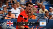 US Open: Haas weiter, Del Potro überraschend raus