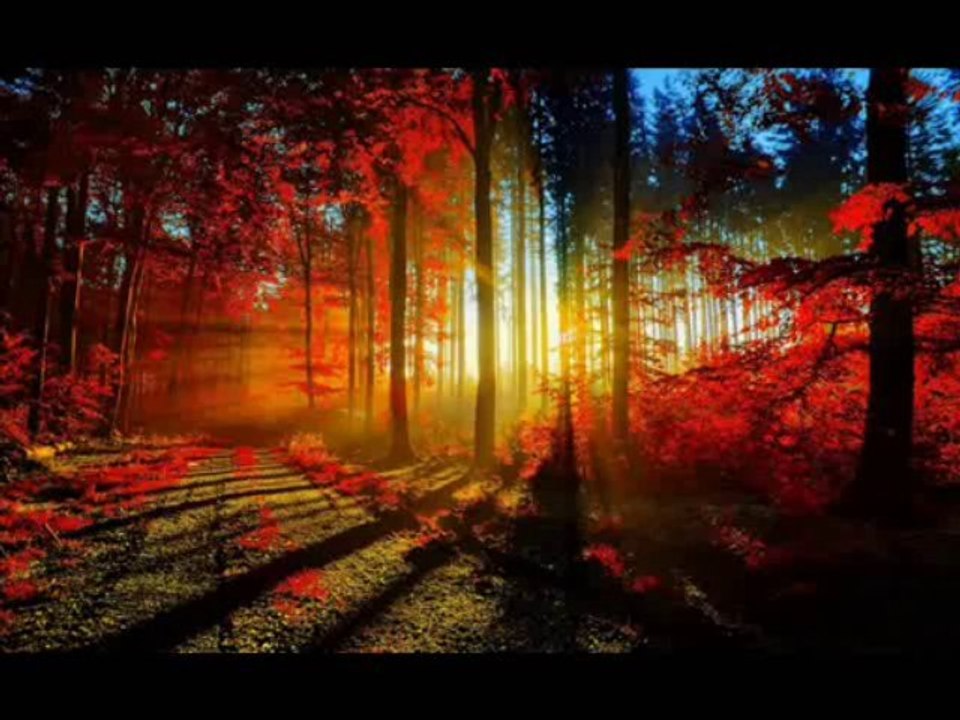 Vakia suresi fethullah eksi