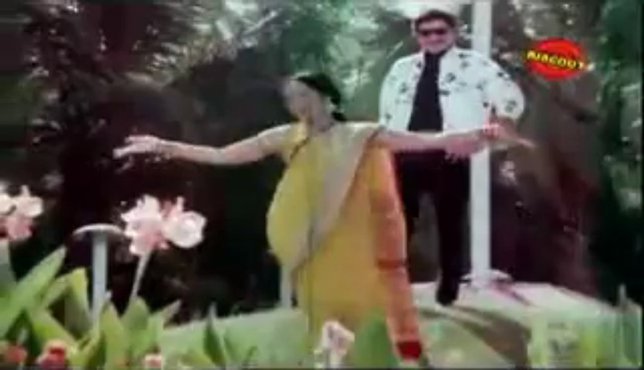 Dorakani Donga