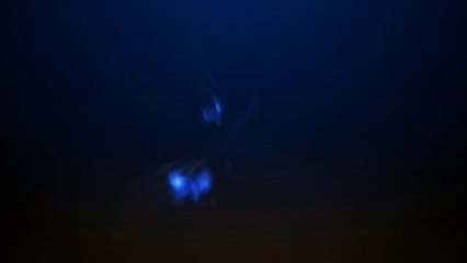 Blue Plasma Logo Stinger - After Effects Template