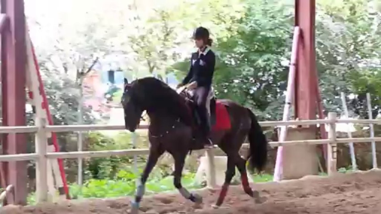 Jade septembre 2013