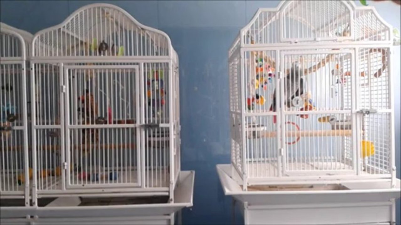 Philibert chante au clair de la lune