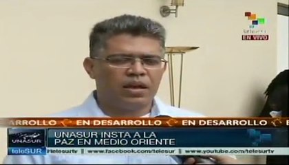 Unasur fija posición sobre crisis siria