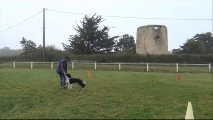 Jade, entrainement obérythmée 2011