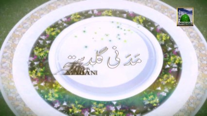 Useful Information 169 - Hajj ki Ghaltiyan aur Kaffaray- Mufti Hashim Khan