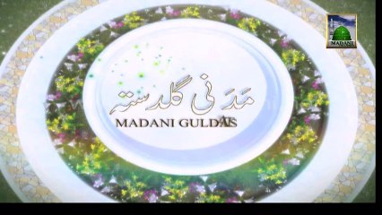 Useful Information 169 - Hajj ki Ghaltiyan aur Kaffaray - Mufti Hashim