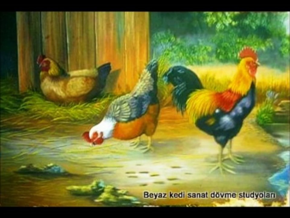 Airbrush Duvar Resimleri Beyaz Kedi Sanat