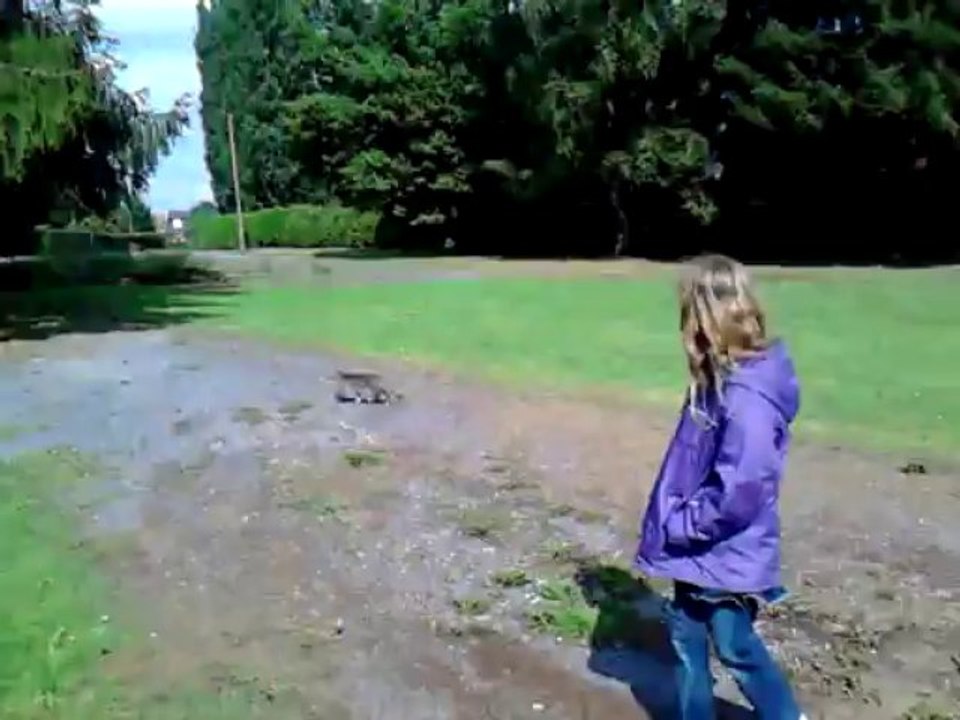 june et le petit chat du parc 2