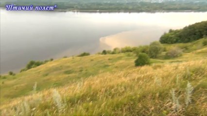 Птичий полет