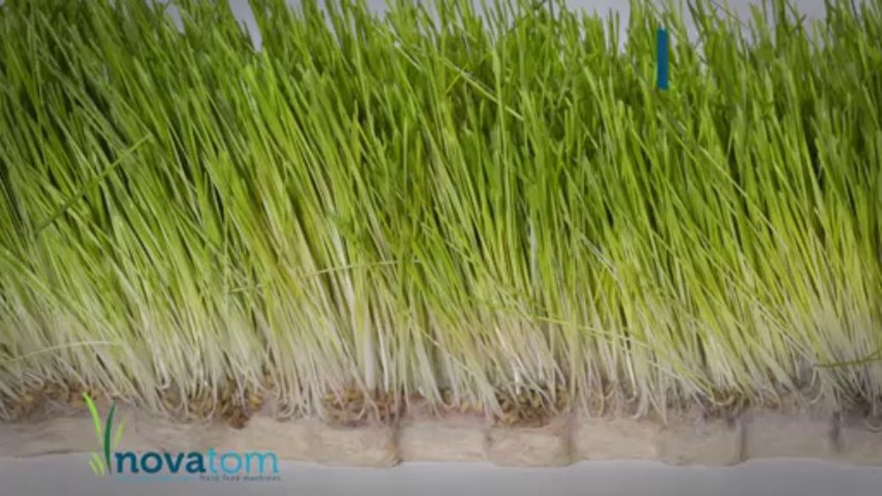 NOVATOM Taze Yem Ot Makinaları 2013 Bereket TV Reklam Filmi 2