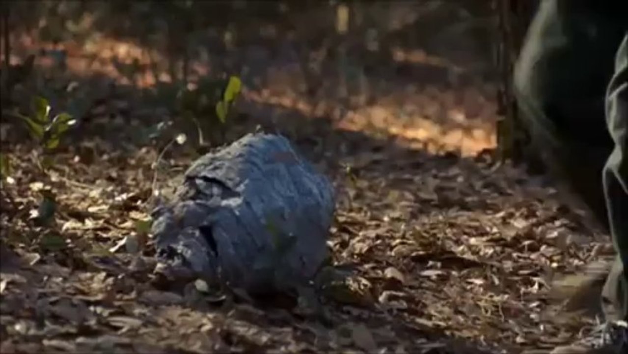 Ramazan&Burak Toprak - Ağlamadan Git ( Duygusal Klip )