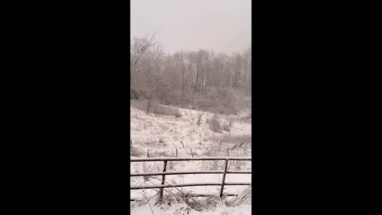 Ron Sandack & Dancing Deer in Ohio