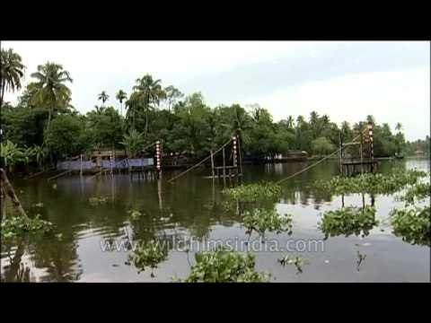 Nehru Boat Race: Allapuzha backwaters