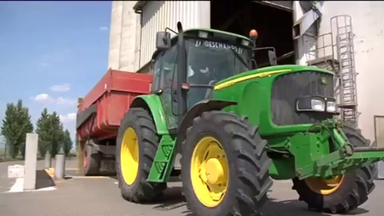 Ils veillent au grain