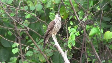 Quatre mois en Amérique Centrale en images !