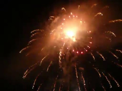 PLEASANTON CALIFORNIA AUGUST 2013 008