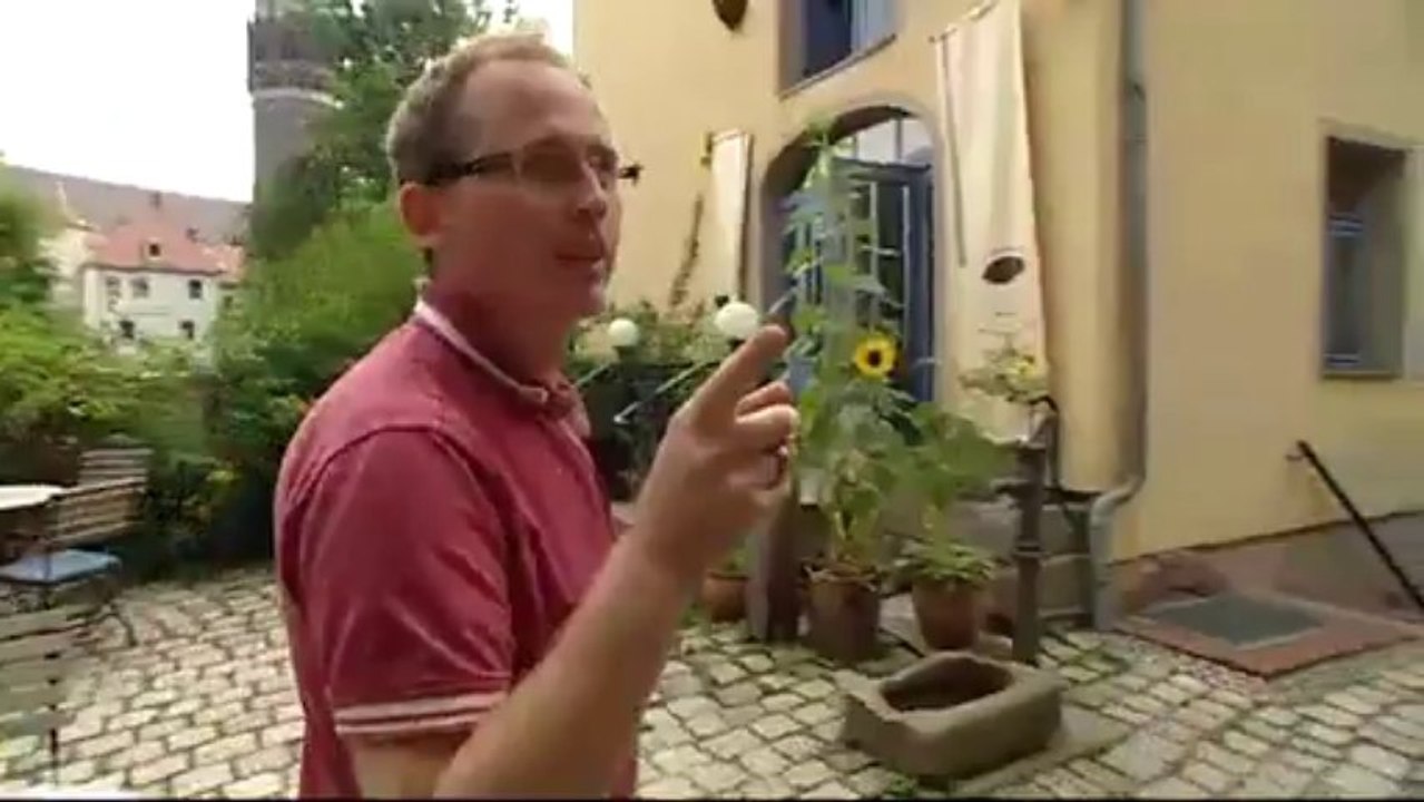 Lutherstadt Wittenberg - drei Reisetipps | Hin