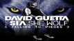 [ DOWNLOAD MP3 ] David Guetta - She Wolf (Falling to Pieces) [feat. Sia] [ iTunesRip ]