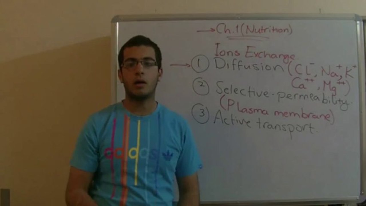 Biology - Chapter 1 - Nutrition - part 6 (Salt absorption) #edu4free
