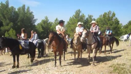 Bénédiction des chevaux 2013