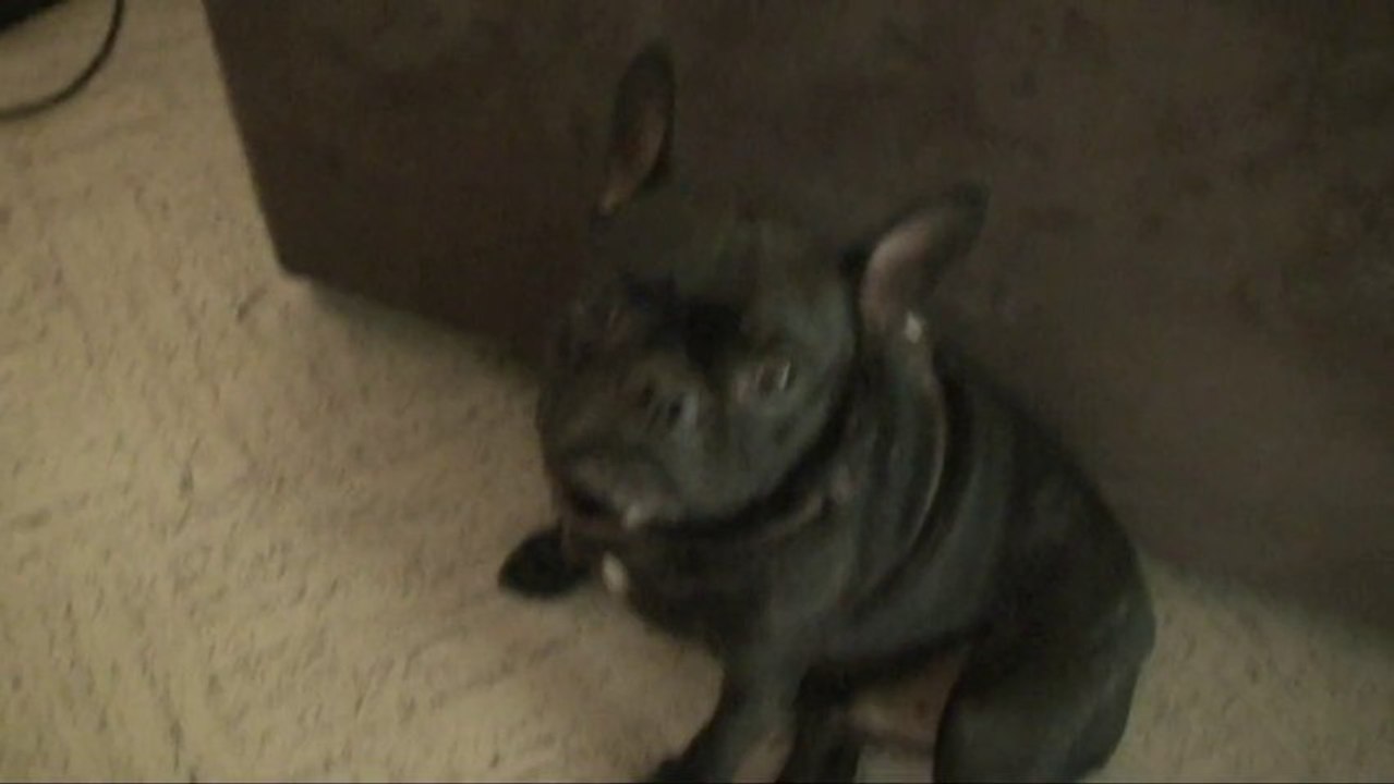 été 2013 - Simouss & Adolf - Rivière