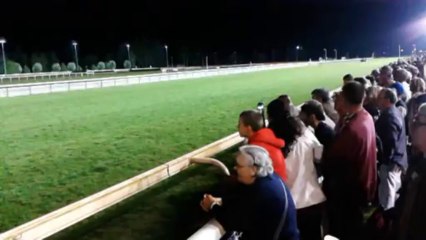 Course levriers hippodrome Vichy 31 aout 2013