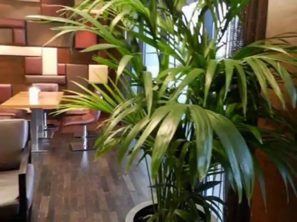 Abu Dhabi Radison Blu Formel 1 Rennbahn www.Fella-1