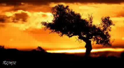 Pink Martini La Soledad