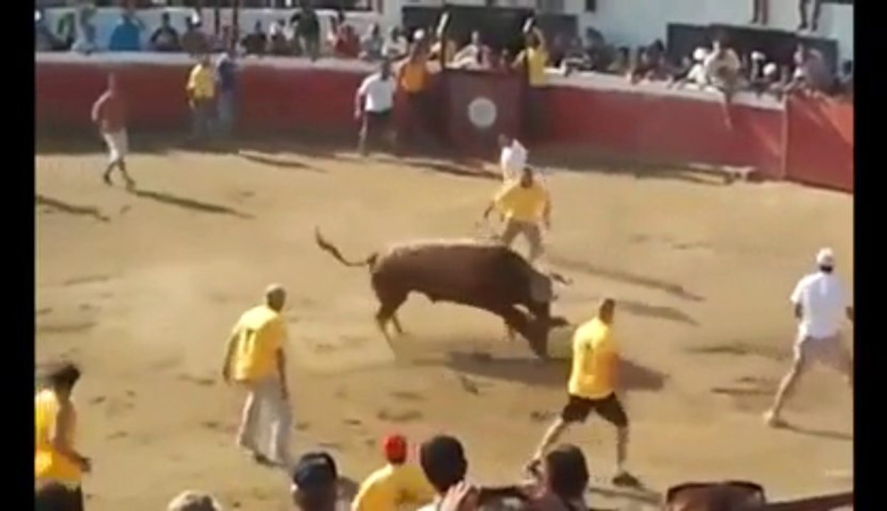 On ne joue pas avec un taureau! C'est le taureau qui joue avec vous!