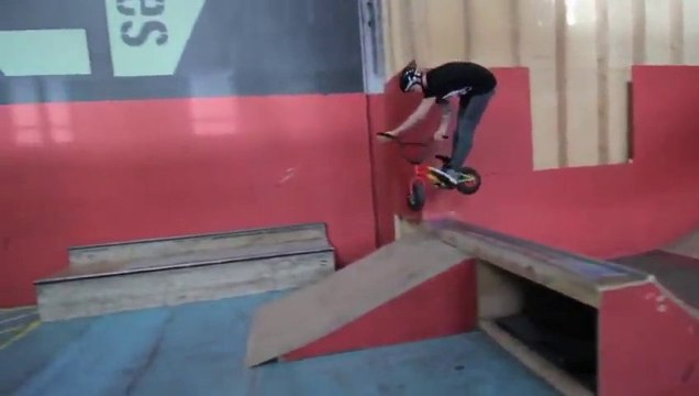 Ryan Taylor Mini BMX - Rocker BMX