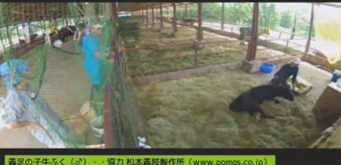 20130829　伊東先生　しず姉さん　針さん　他