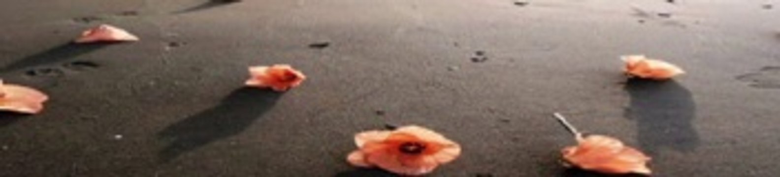 ELİF REYYA NAZ - NURULLAH GENÇ YAKLAŞ