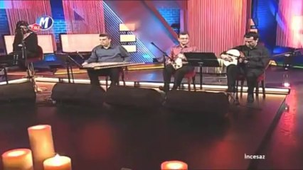 06 incesaz kar 08.05.2010