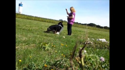 obé hasko 1 septembre