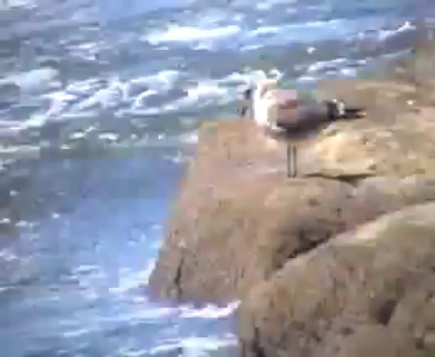 placide del mar