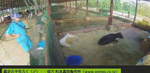 20130901　ふくちゃんの移動