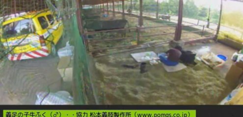 20130901　針さんとふくちゃん