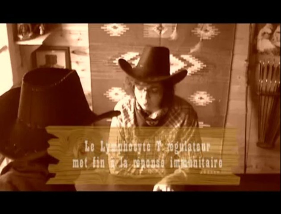 Le T. reg fait la loi