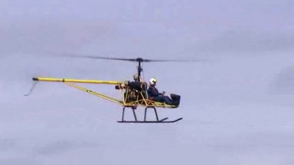 Vol au dessus d'un nid d'ulm