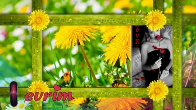 Ahmet Selçuk İlkan - Baha