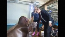 Russia's Putin feeds dolphins, shakes hands with walrus on trip to Russia's Far East
