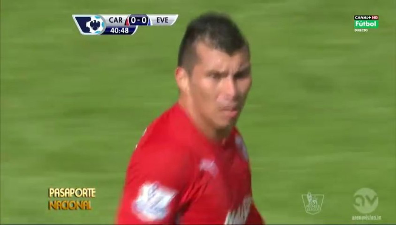 Gary Medel Vs Everton [31-08-2013]