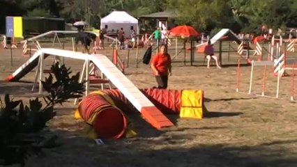 Agility martigues 31 08 13 dolce 2°