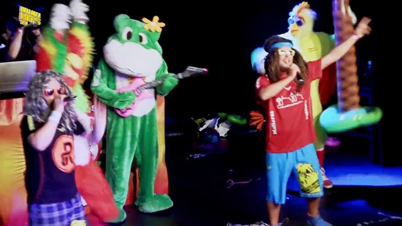 Remmi Demmi Boys - Ich liebe Ananas