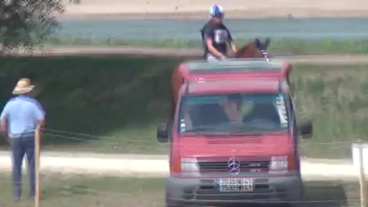 Routier Lamotte : Guillaume et Rival