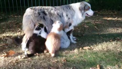 patience, sainte patience...